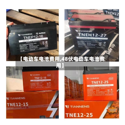 【电动车电池费用,48伏电动车电池费用】