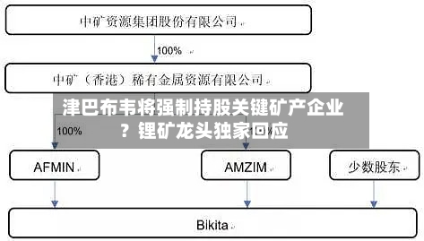 津巴布韦将强制持股关键矿产企业？锂矿龙头独家回应