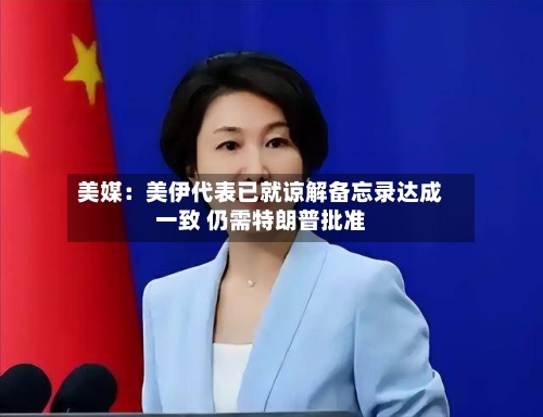 美媒：美伊代表已就谅解备忘录达成一致 仍需特朗普批准-第2张图片
