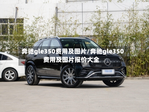 奔驰gle350费用及图片/奔驰gle350费用及图片报价大全