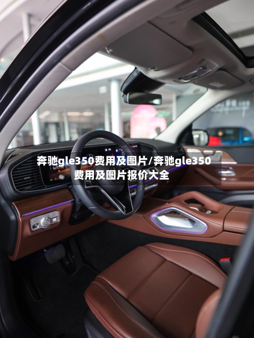 奔驰gle350费用及图片/奔驰gle350费用及图片报价大全-第2张图片