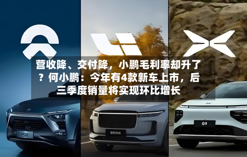 营收降	、交付降，小鹏毛利率却升了？何小鹏：今年有4款新车上市，后三季度销量将实现环比增长-第2张图片