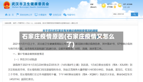 石家庄疫情原因(石家庄疫情又怎么了)