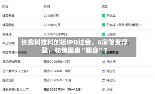 长鑫科技科创板IPO过会	，6家险资浮盈，和谐健康“翻身	”？-第2张图片