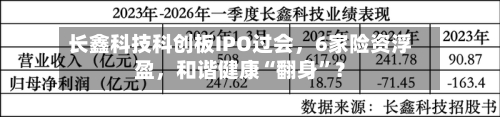 长鑫科技科创板IPO过会，6家险资浮盈	，和谐健康“翻身	”？-第3张图片