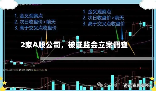 2家A股公司，被证监会立案调查-第3张图片