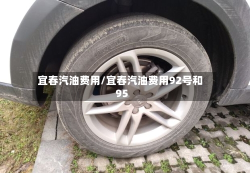宜春汽油费用/宜春汽油费用92号和95