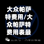 大众帕萨特费用/大众帕萨特费用表最新报价-第2张图片