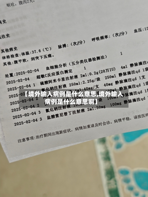 【境外输入病例是什么意思,境外输入病例是什么意思啊】