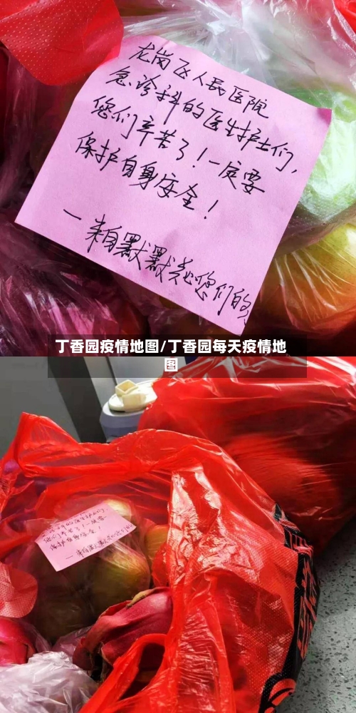 丁香园疫情地图/丁香园每天疫情地图-第2张图片