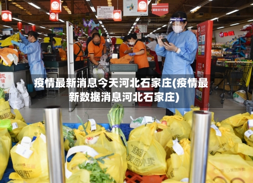 疫情最新消息今天河北石家庄(疫情最新数据消息河北石家庄)-第2张图片