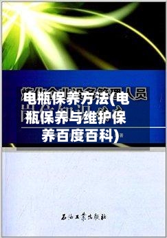 电瓶保养方法(电瓶保养与维护保养百度百科)-第2张图片