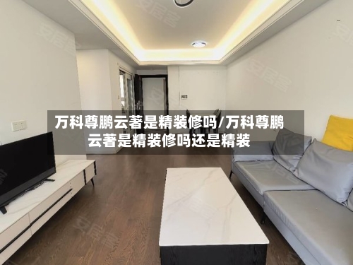 万科尊鹏云著是精装修吗/万科尊鹏云著是精装修吗还是精装