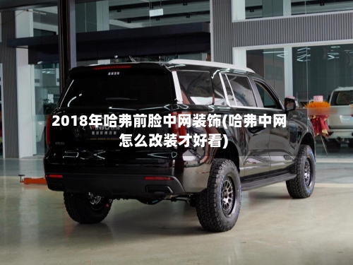 2018年哈弗前脸中网装饰(哈弗中网怎么改装才好看)-第3张图片