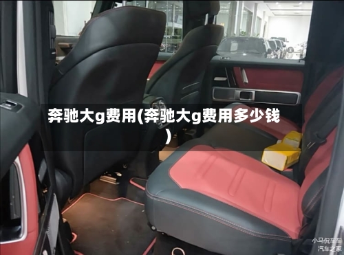 奔驰大g费用(奔驰大g费用多少钱)