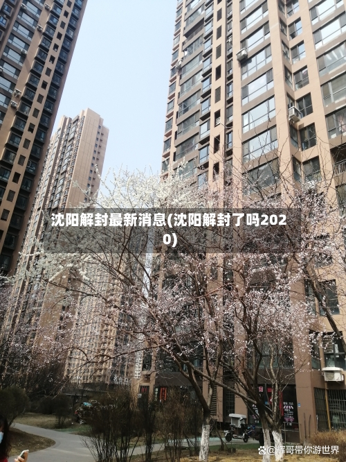 沈阳解封最新消息(沈阳解封了吗2020)-第2张图片