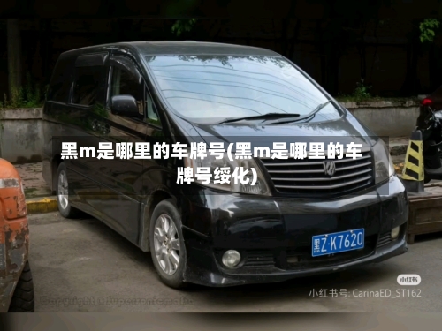 黑m是哪里的车牌号(黑m是哪里的车牌号绥化)