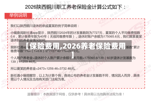 【保险费用,2026养老保险费用】
