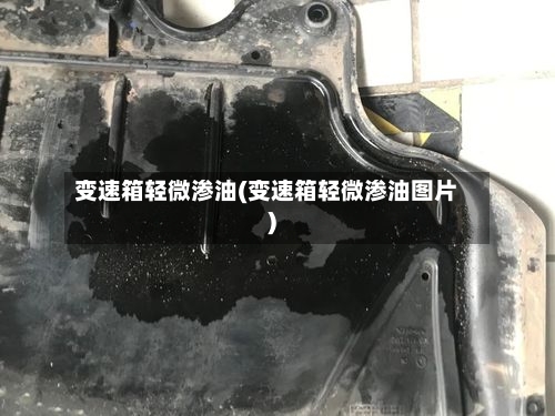 变速箱轻微渗油(变速箱轻微渗油图片)-第2张图片
