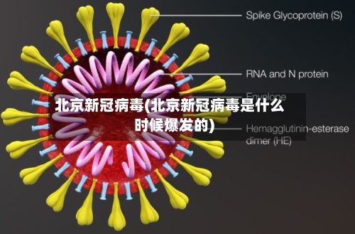 北京新冠病毒(北京新冠病毒是什么时候爆发的)