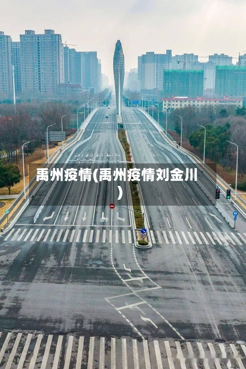 禹州疫情(禹州疫情刘金川)