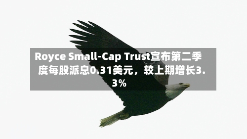 Royce Small-Cap Trust宣布第二季度每股派息0.31美元，较上期增长3.3%-第2张图片