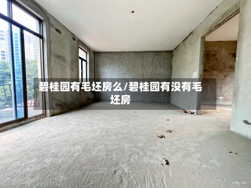 碧桂园有毛坯房么/碧桂园有没有毛坯房