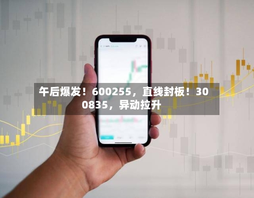 午后爆发!600255,直线封板!300835,异动拉升