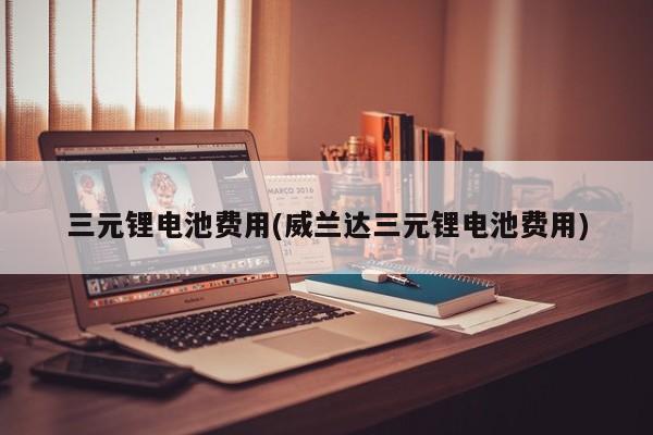 三元锂电池费用(威兰达三元锂电池费用)