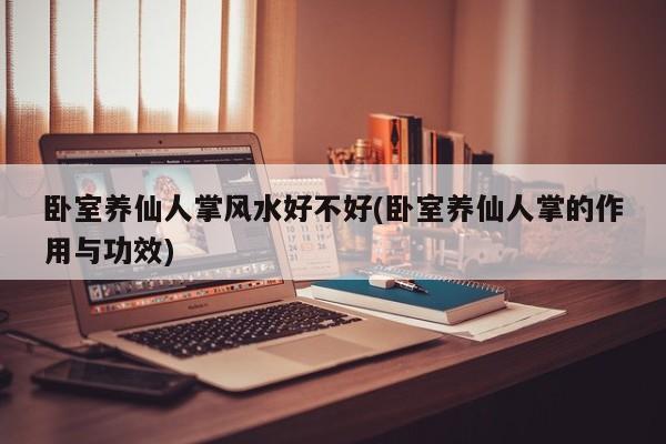 卧室养仙人掌风水好不好(卧室养仙人掌的作用与功效)